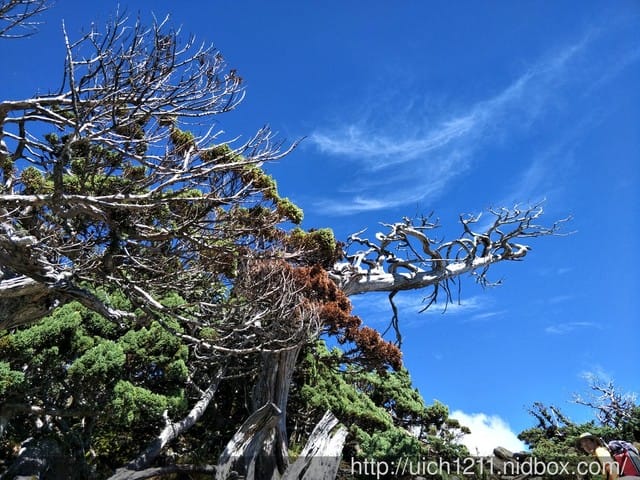 南湖群峰3 - 第22張圖 南湖群峰3