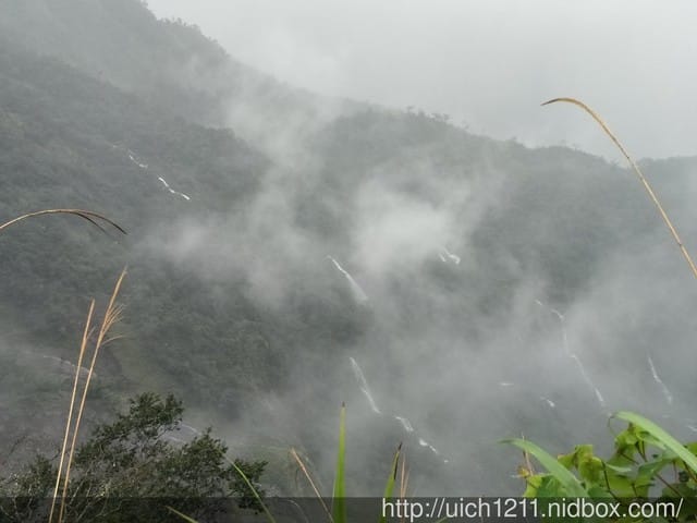 北大武山國家步道 - 第6張圖 北大武山國家步道