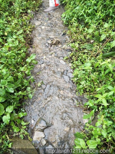 北大武山國家步道 - 第13張圖 北大武山國家步道