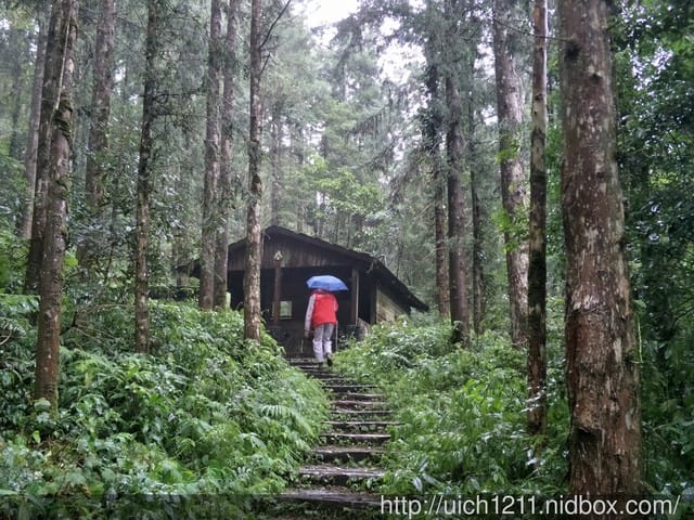 北大武山國家步道 - 第10張圖 北大武山國家步道