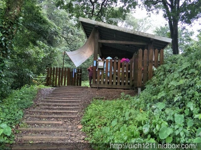 北大武山國家步道 - 第8張圖 北大武山國家步道