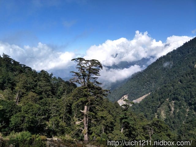 南橫三山