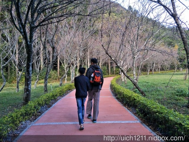 奧萬大之旅 - 第12張圖 奧萬大之旅