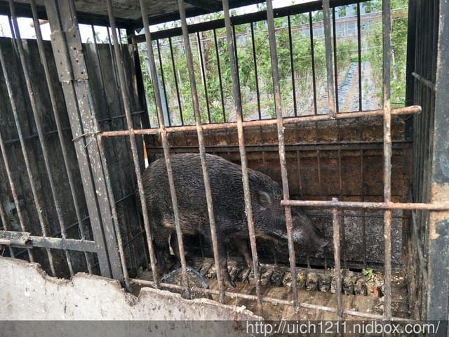 頭社之旅