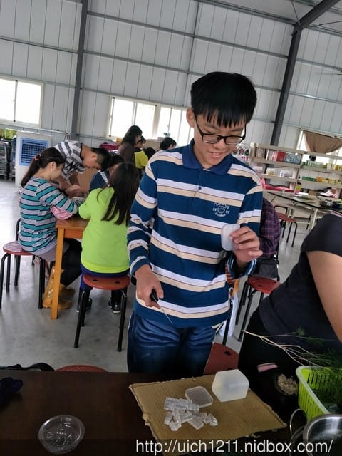 頭社之旅
