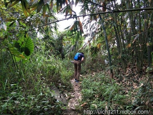 白河枕頭山