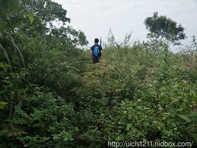 白河枕頭山