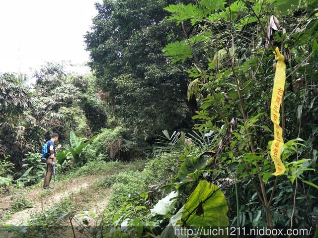 白河枕頭山