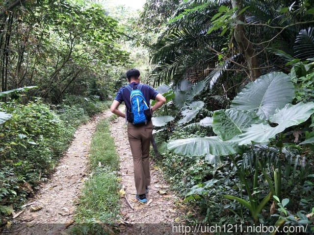 白河枕頭山