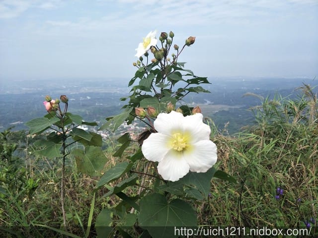 白河枕頭山