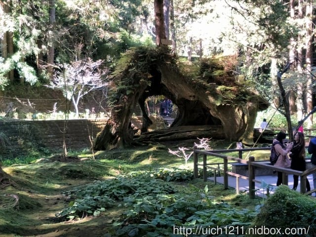 阿里山 - 第15張圖 阿里山