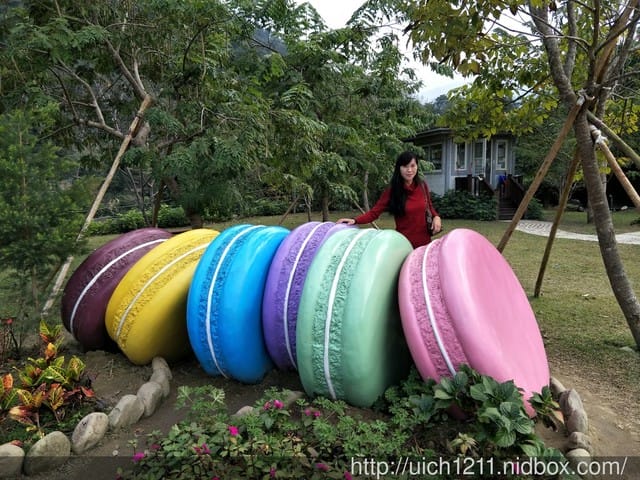 雲水渡假森林