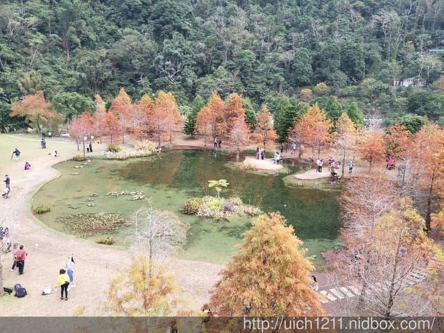 雲水渡假森林