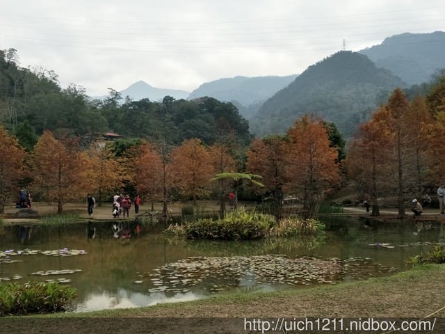 雲水渡假森林