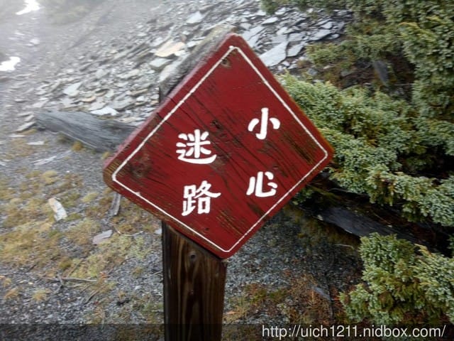 南二段縱走之三 - 第23張圖 南二段縱走之三