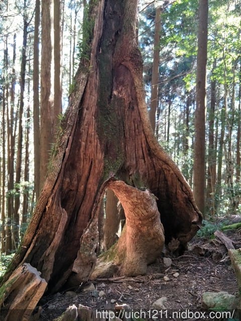 加里山