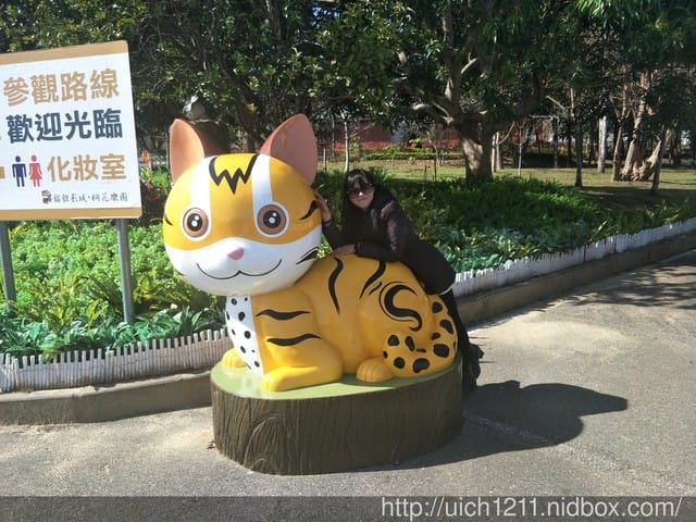 貍貓影城