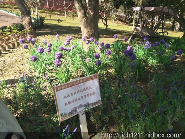 貍貓影城
