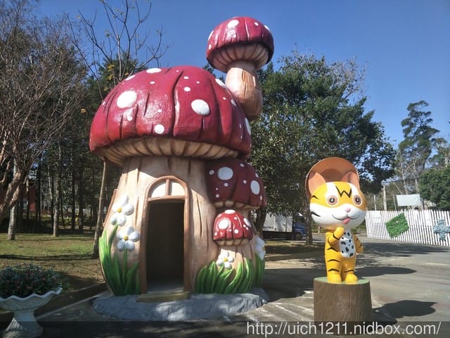 貍貓影城
