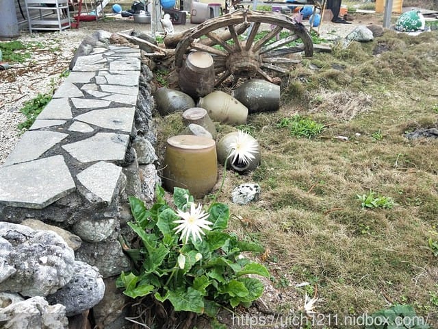 澎湖西嶼之旅