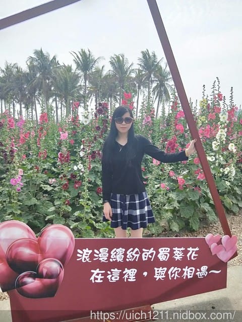 蜀葵花-布袋好美里-鹽水燈會