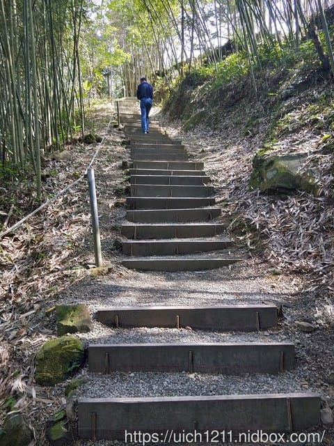 寒溪呢森林人文叡地