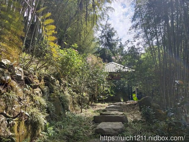 寒溪呢森林人文叡地