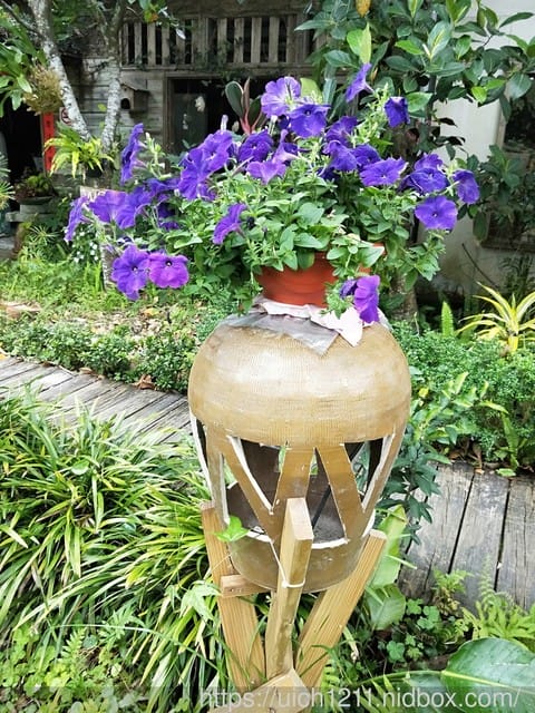 花草集民宿