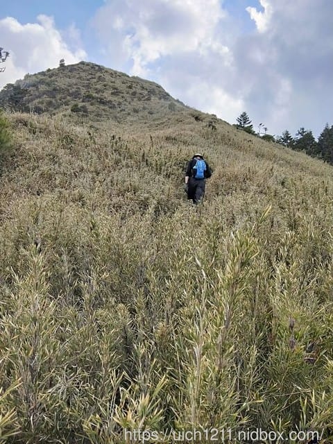 桃山喀拉業 - 第31張圖 桃山喀拉業