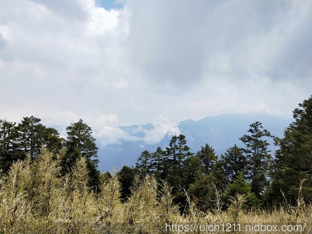 桃山喀拉業 - 第30張圖 桃山喀拉業