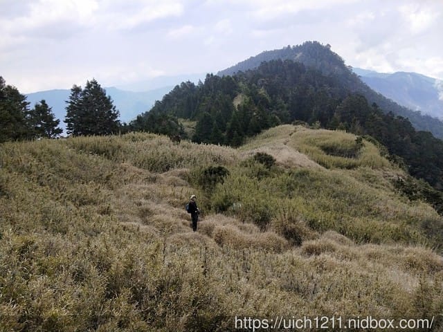 桃山喀拉業 - 第23張圖 桃山喀拉業