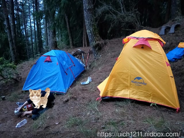 桃山喀拉業 - 第32張圖 桃山喀拉業
