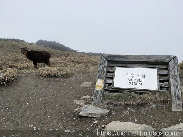 北三段之旅(一) - 第37張圖 北三段之旅(一)