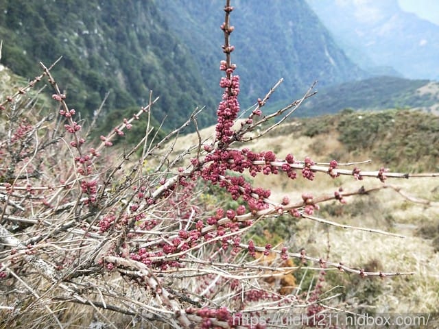 北三段之旅(四)