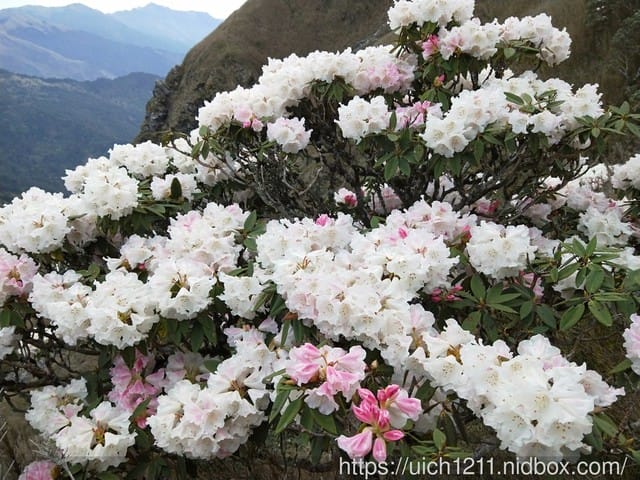 北三段之旅(四)