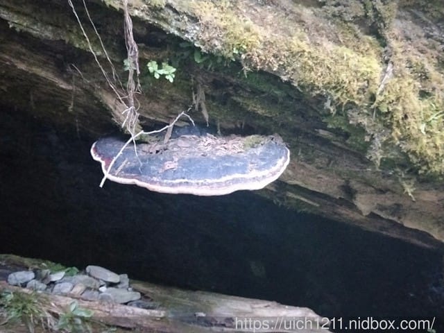 北三段之旅完結篇 - 第23張圖 北三段之旅完結篇
