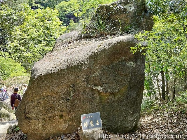 黃山鳳凰源及天湖 - 第13張圖 黃山鳳凰源及天湖