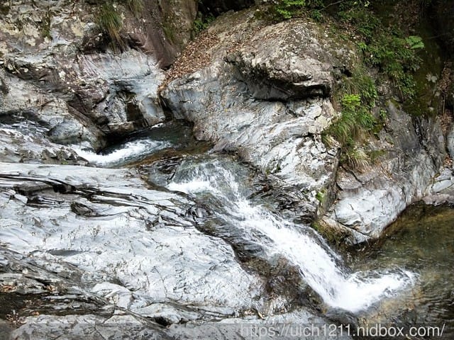 黃山鳳凰源及天湖 - 第35張圖 黃山鳳凰源及天湖