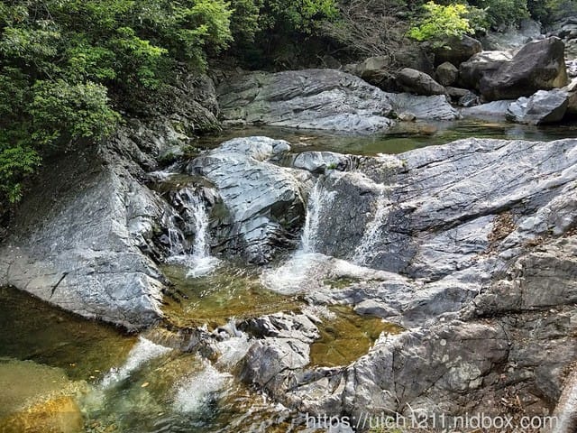 黃山鳳凰源及天湖 - 第33張圖 黃山鳳凰源及天湖