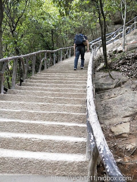 黃山鳳凰源及天湖 - 第38張圖 黃山鳳凰源及天湖