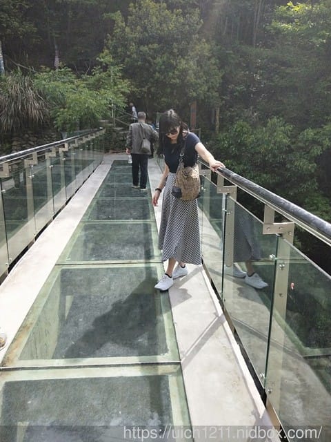 黃山鳳凰源及天湖 - 第24張圖 黃山鳳凰源及天湖