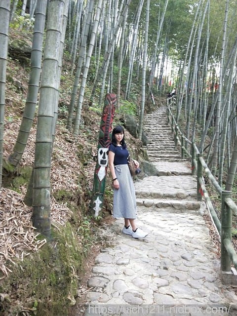 黃山鳳凰源及天湖 - 第26張圖 黃山鳳凰源及天湖