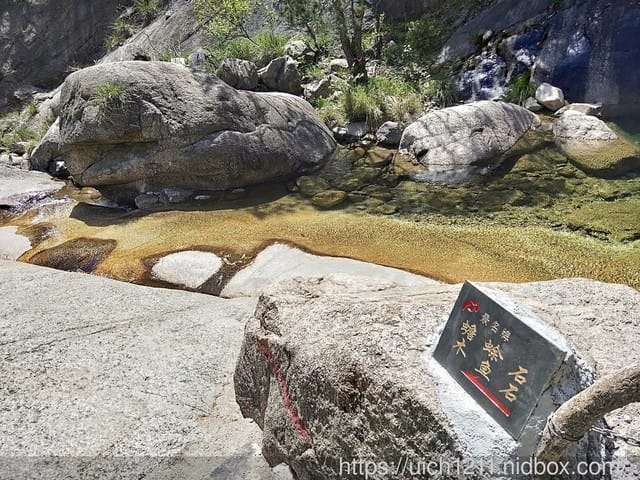 黃山鳳凰源及天湖 - 第7張圖 黃山鳳凰源及天湖