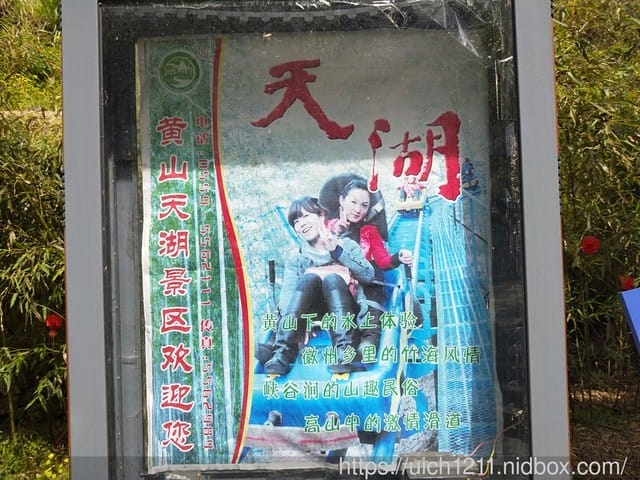 黃山鳳凰源及天湖 - 第17張圖 黃山鳳凰源及天湖