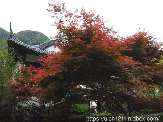 黃山鳳凰源及天湖 - 第46張圖 黃山鳳凰源及天湖