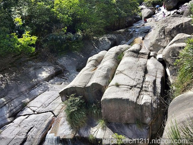 黃山鳳凰源及天湖 - 第8張圖 黃山鳳凰源及天湖