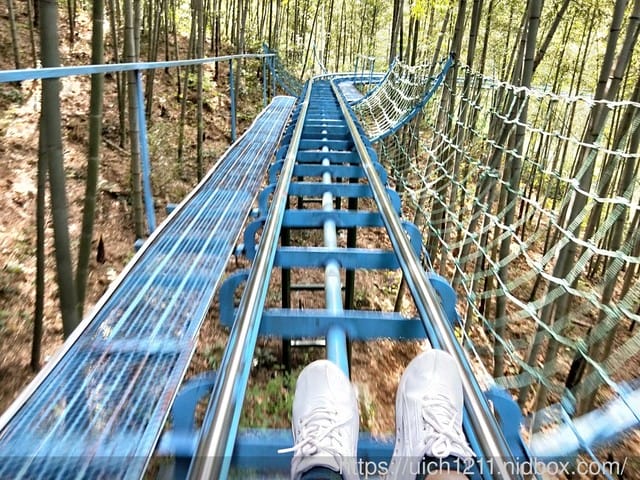 黃山鳳凰源及天湖 - 第28張圖 黃山鳳凰源及天湖