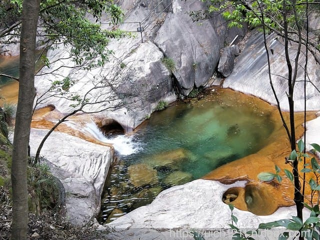 黃山鳳凰源及天湖 - 第39張圖 黃山鳳凰源及天湖