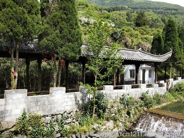 黃山鳳凰源及天湖 - 第16張圖 黃山鳳凰源及天湖