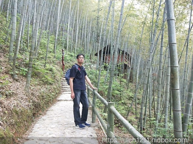 黃山鳳凰源及天湖 - 第25張圖 黃山鳳凰源及天湖